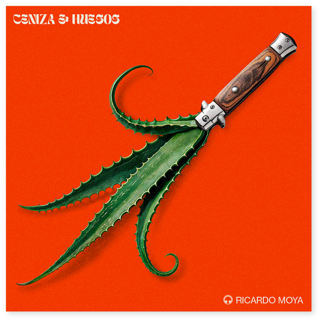 Portada del single CENIZA Y HUESOS